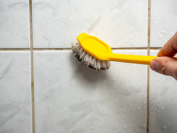  Woodhaven, MI Mold Removal Pros