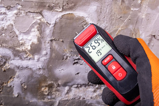 Best Localized Mold Remediation (e.g., coastal areas, humid climates) in Woodhaven, MI