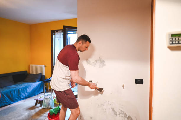 Best Black Mold Remediation in Woodhaven, MI